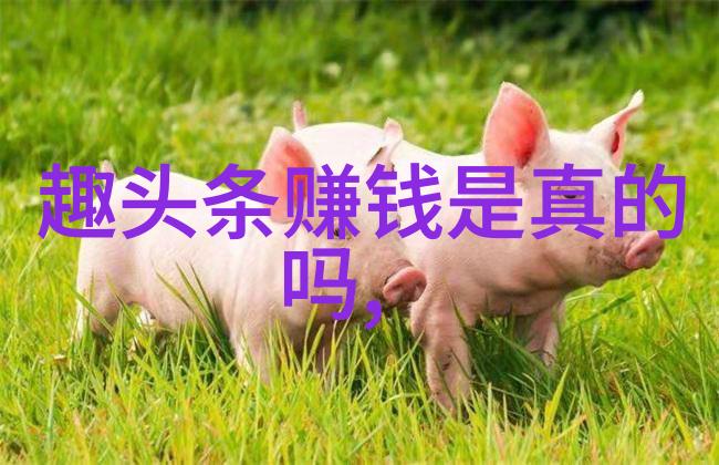 台湾综艺节目的文化生态与社会影响研究