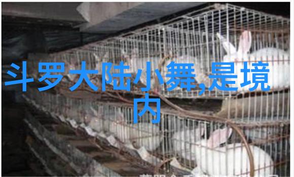 观众心中的使徒行者2情感共鸣分析