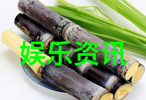 灵域txt神秘领域的秘密与挑战