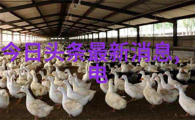 音乐风云从摇滚巷尾到流行街头的逆袭之旅