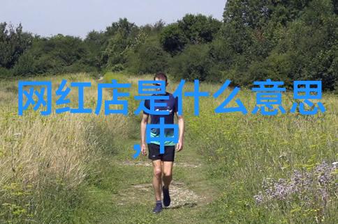 数字编码背后的故事揭秘3166标准的文化与科技面纱