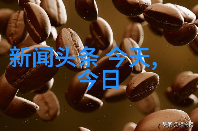 笼中燕自由与囚禁的双重生存
