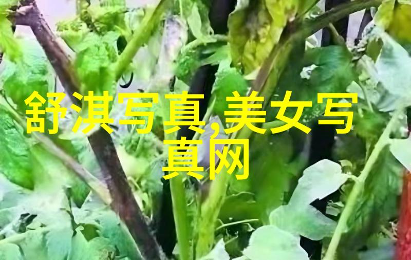 日韩娱乐热点杨洋如约亮相但不完整登场引发观众好奇心的激烈涟漪