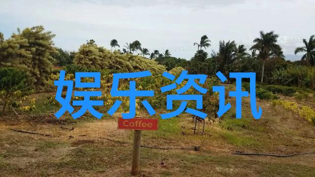 我来帮你找最新电视剧大全不用翻山越岭你的喜剧爱情就在这里