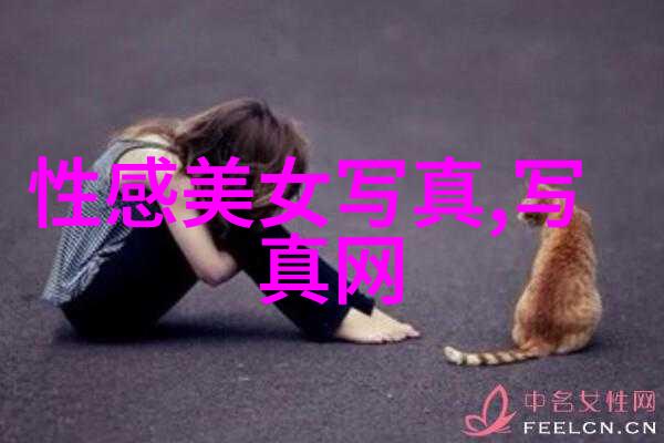 窝窝午夜看片 - 午夜影院窝在家里的电影盛宴