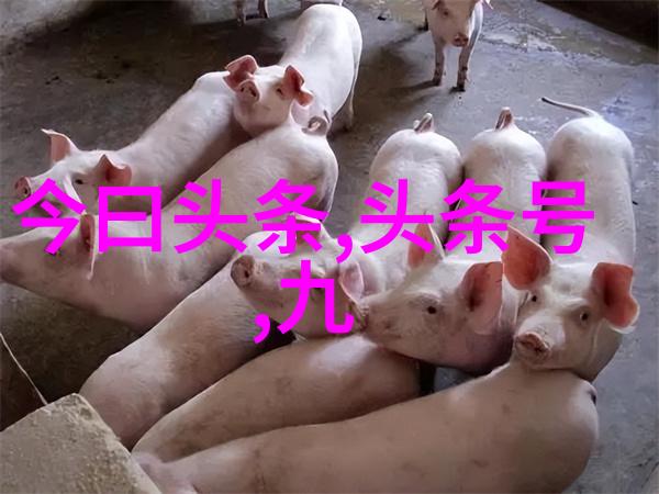 水流涌动撞击边走边撞的水流冲刷
