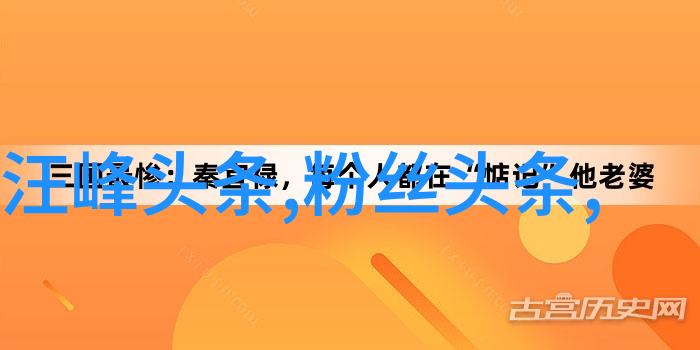 青春娱乐盛宴探秘网络视频界的新风尚