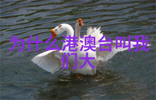 电视剧深宫谍影揭秘皇家阴谋的隐秘世界