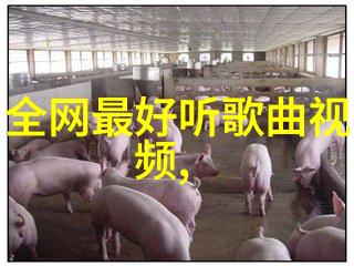 002638我是如何在一场突如其来的雨中迷路的