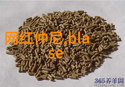 我们可以从孙菲菲的故事中学到哪些关于心理健康自我保护以及社会责任感的问题