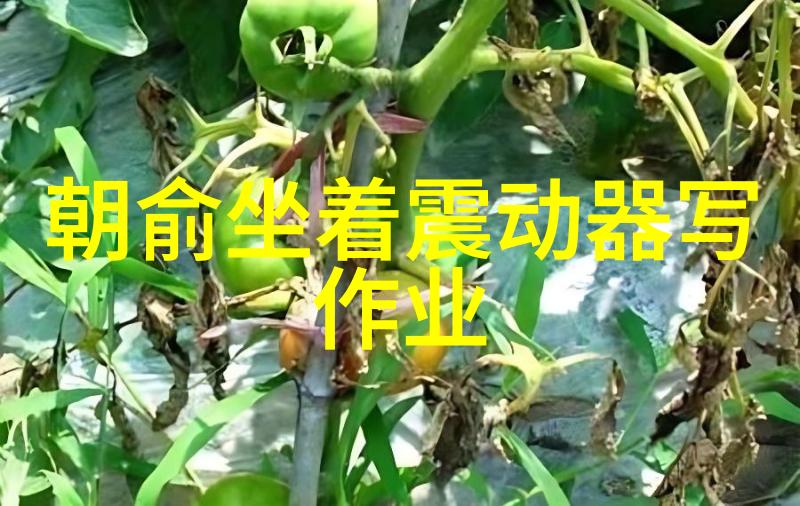 解读生辰八卦揭秘命运之轮的秘密
