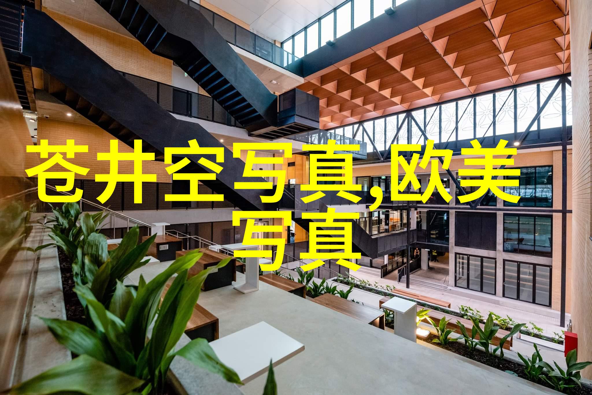 国立关注中美贸易战对世界经济的长远影响是什么