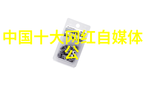 欢乐时刻的聚焦快乐大本营综艺节目的魅力