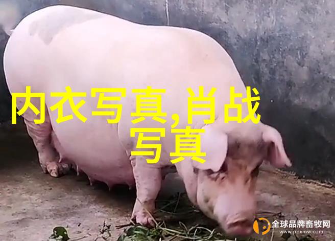 天狼影视我是如何在Netflix上发现一部改变生活的电影的