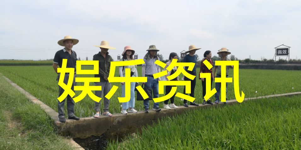 探秘蜜芽世界222.coon的奇幻冒险