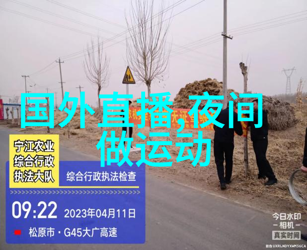 如何安全免费下载音乐软件并进行安装