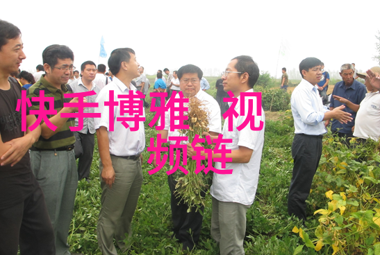 星光下的背后故事佟丽娅与她的那些男人