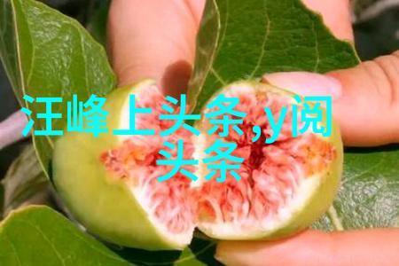 蜜桃成熟时 电影-甜蜜告白蜜桃成熟时的故事