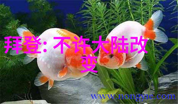 汤加丽写真捕捉电影巨星的魅力瞬间
