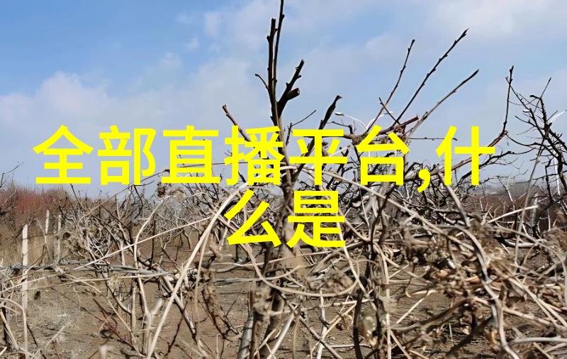 八卦镜背后的历史与意义为何某些人群被排除在外