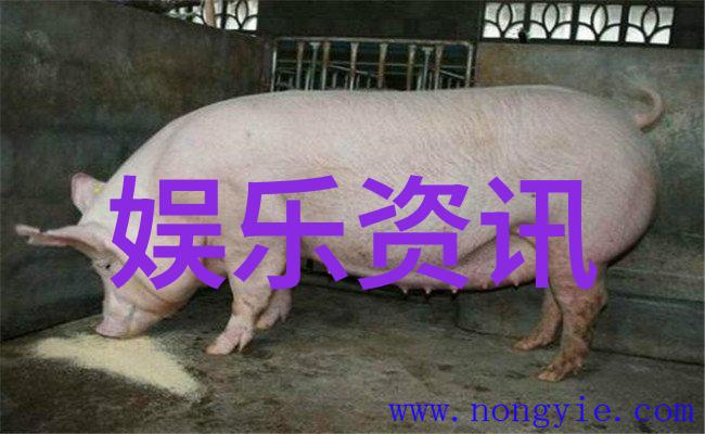 综艺3国智我是大侦探我来破解这三国的谜题