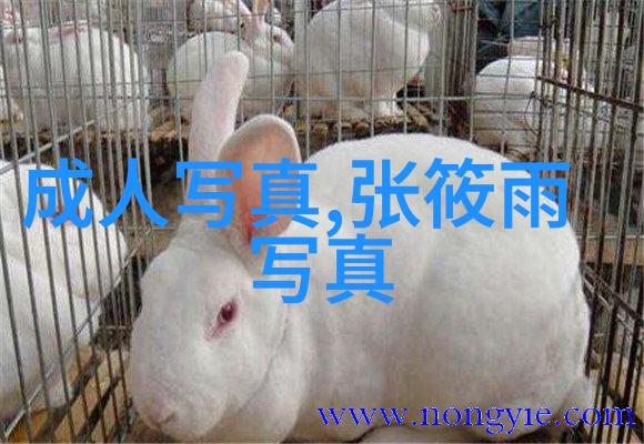 历史上的关键转折155年前的今天发生了什么大事