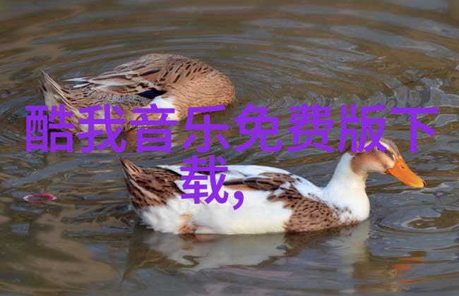 亲上边一面膜下边日本探索日式美妆的双重魅力