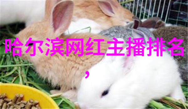 如果我们把时间倒流会发现这个日期背后隐藏了哪些秘密