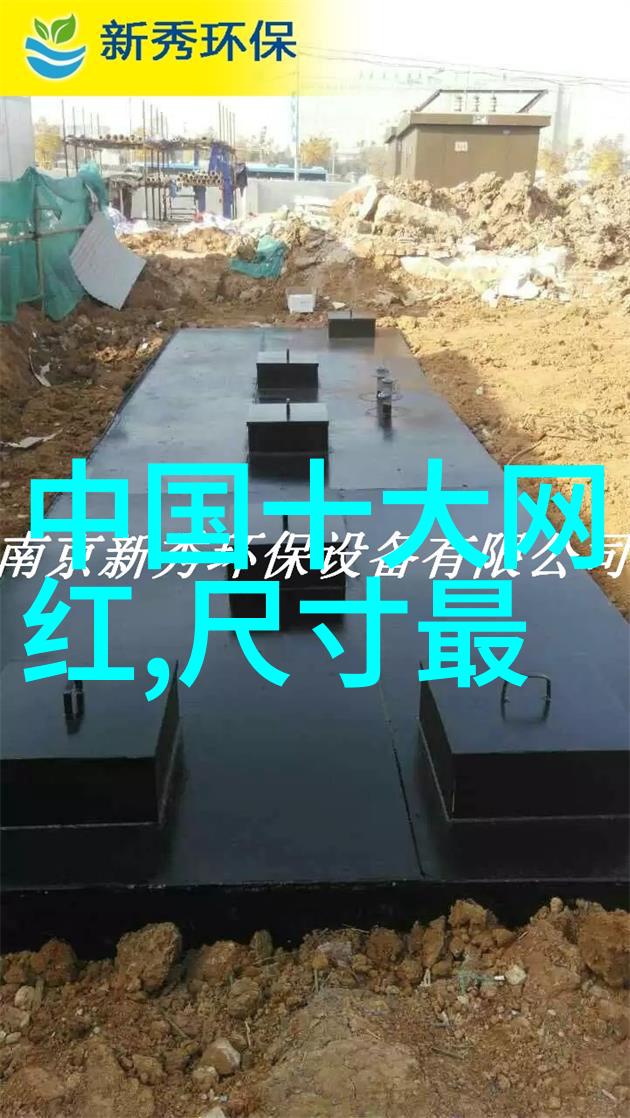 网红雪梨整容前后写真改变自我重塑美丽