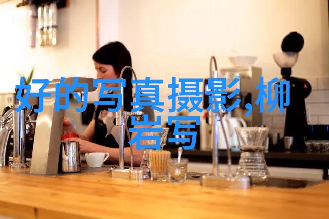 雪梨一座融合传统与现代的国际大都市的研究