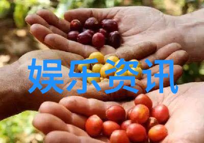 创意无限 如何利用  音乐大全 300 首 免费聽  来激发你的灵感和创造力