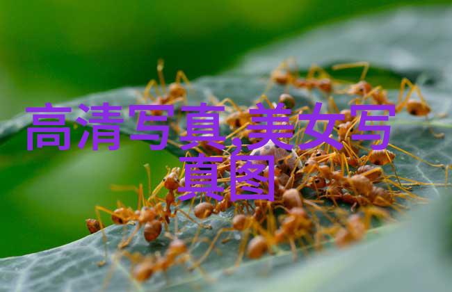 战靴换成了绣鞋文人归来闺中梦