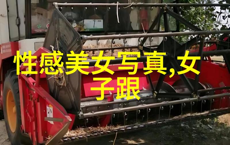 庆余年探索权力的无穷尽之旅