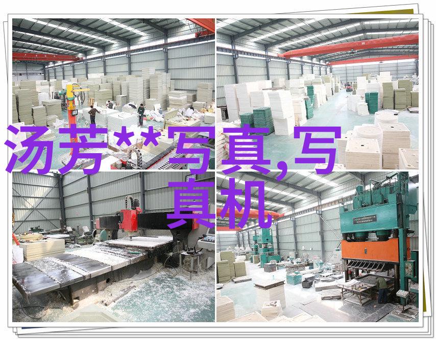 大陆漂移的诗篇时光之轮下行踪的变迁与证言