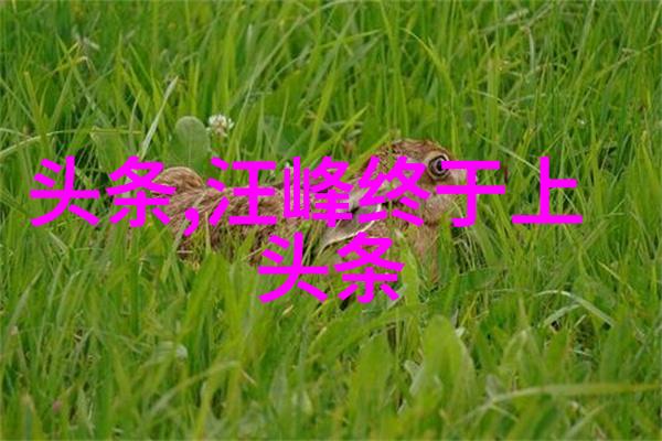 山水时尚酒店我在这家山水时尚酒店里体验了生活的另一面