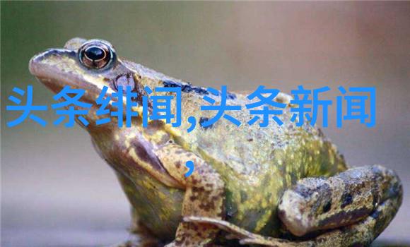 重生之路唐三如何重新夺回他的天赋