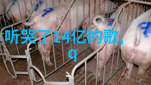 汪峰点亮希望夏伯渝我的生命之灯塔