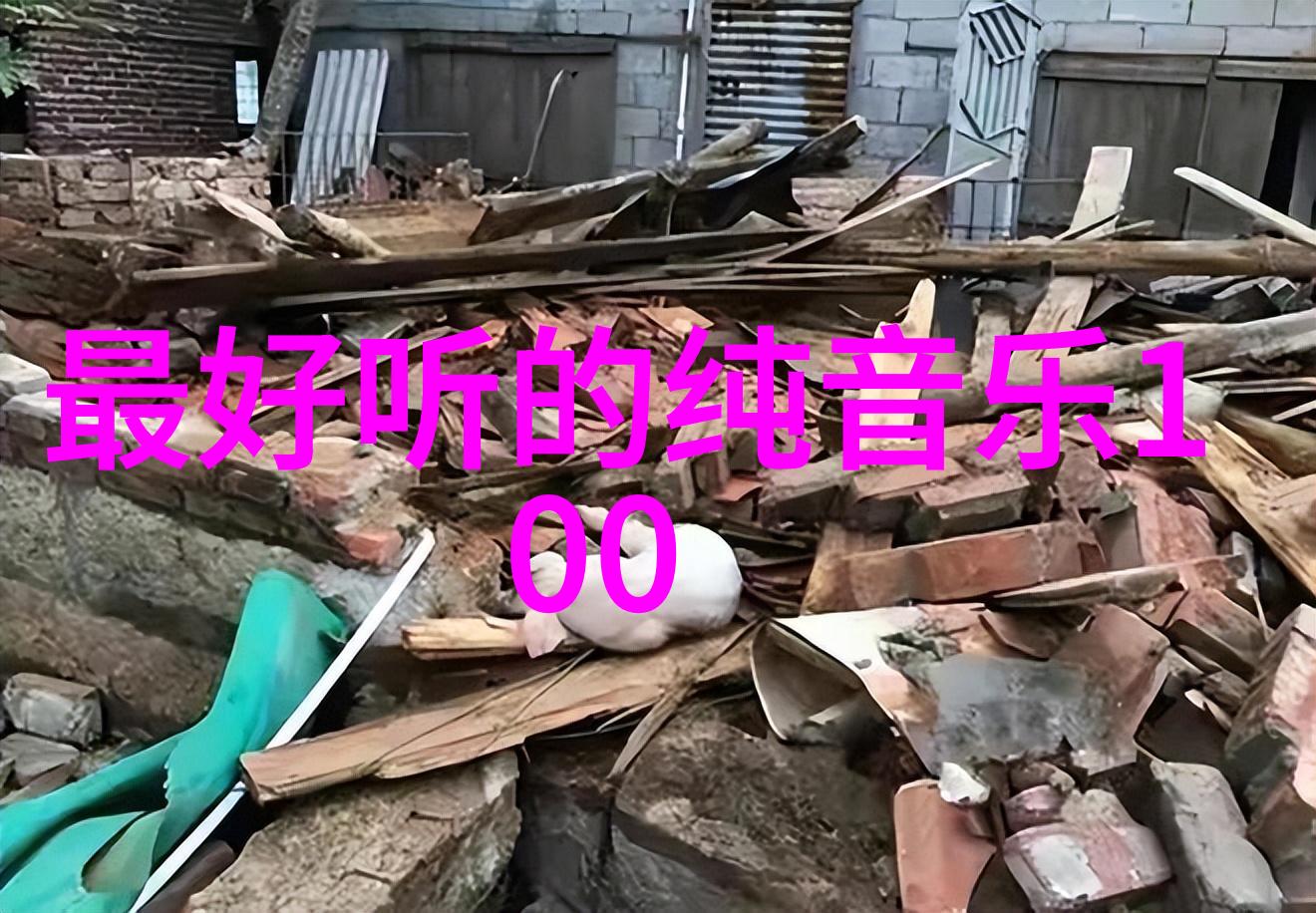 极速版头条科技让我们如何更快获取最新资讯