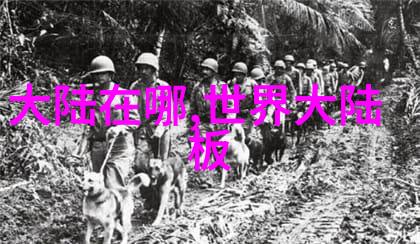 大鱼直播捕捉网络红人背后的故事