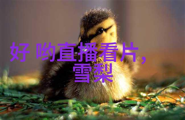 300501时间裂缝的守护者