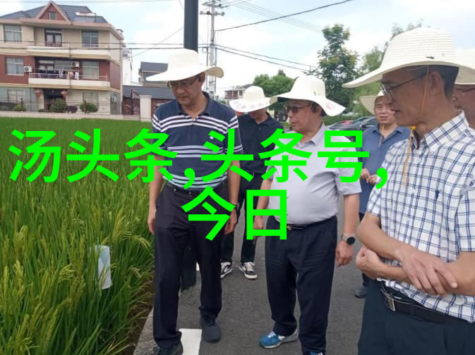 海上繁花番外篇11个未解之谜的深渊