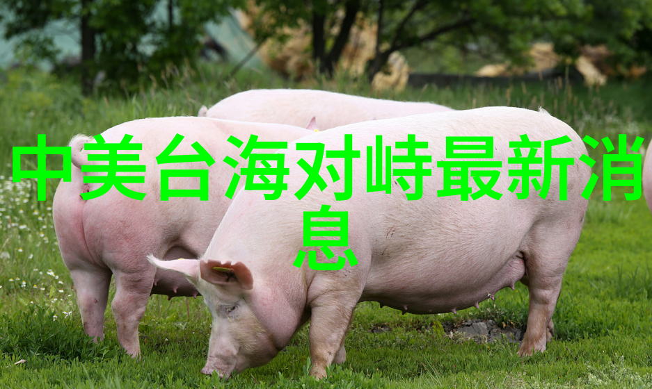 天启影视揭秘幕后大咖的星光背后的笑话
