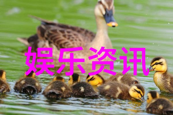 3比3策略与激情的对决