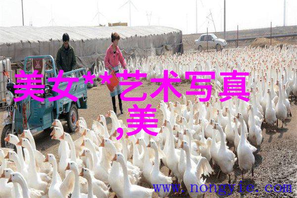 探索大陆的多样性从自然景观到文化遗产的大陆都有哪些宝藏