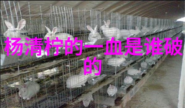 有没有特别的影视剧集获得了观众的广泛好评和讨论呢