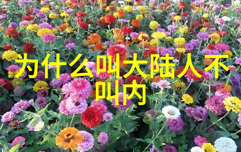 啊哈哈啊哈真棒啊大叔头条我的时代你的时代收官李一桐甜飒形象如同春日花开温柔中透着倾城之美备受喜爱