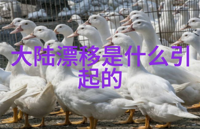 森系清新4字网名大全简约小清新淘宝昵称创作