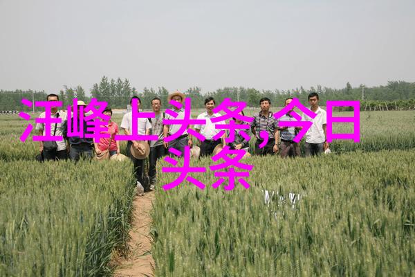 星辰影视银河系幕后的奇遇与传奇