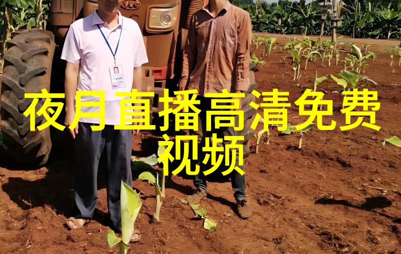 黄晓明与angelababy宣布离婚 官方声明引发网友热议