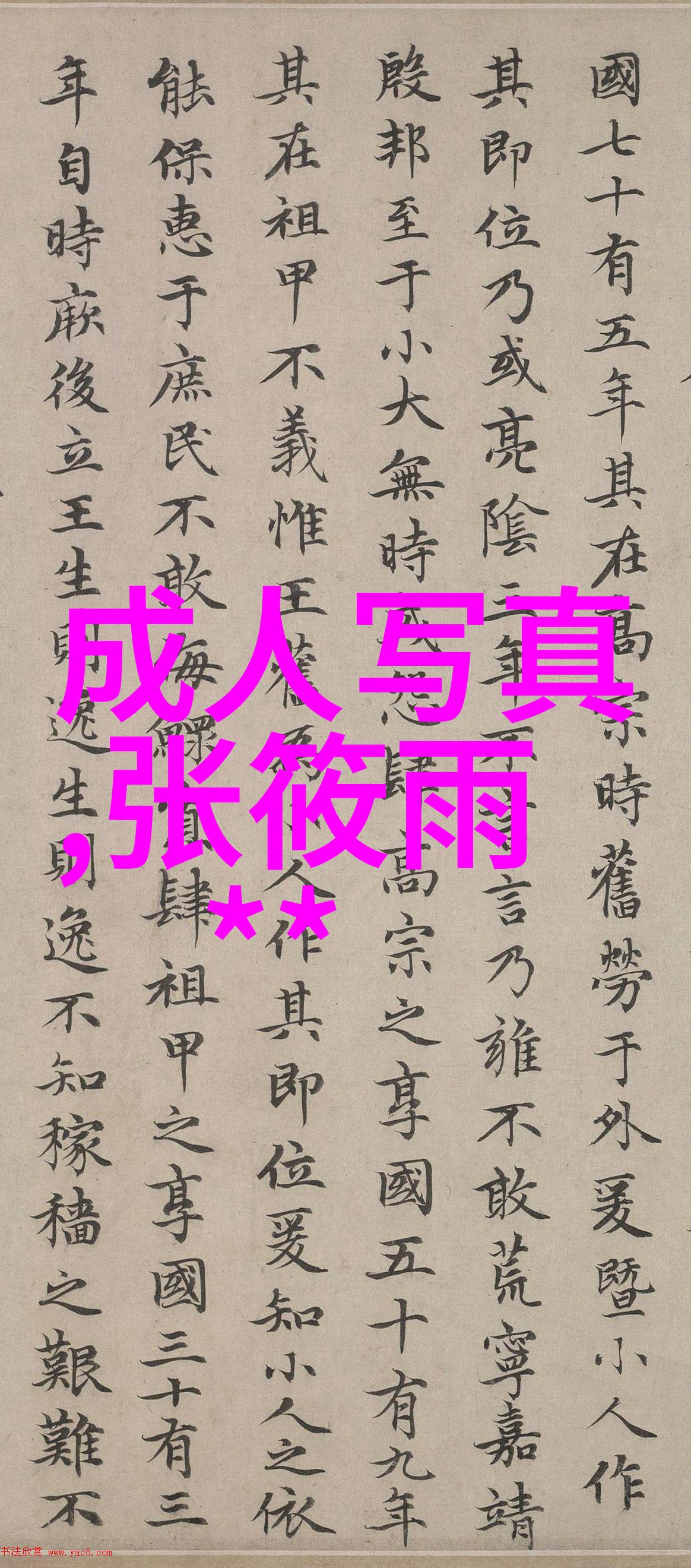 熊出没之伴我熊芯电影免费观看探寻温暖与智慧的旅程